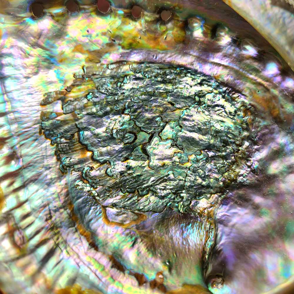 Miniature 3